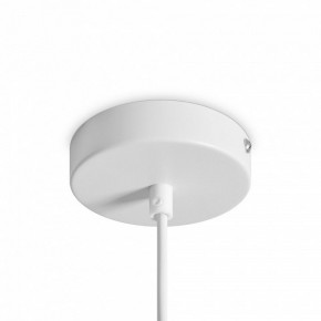 Подвесной светильник Freya Shapes FR5530PL-L10W в Воткинске - votkinsk.ok-mebel.com | фото 5
