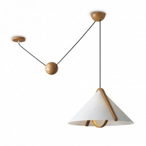 Подвесной светильник Freya Umbra FR5554CL-01T в Воткинске - votkinsk.ok-mebel.com | фото 2