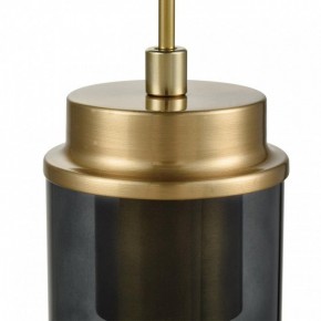 Подвесной светильник Lumion Isha 8101/1A в Воткинске - votkinsk.ok-mebel.com | фото 7