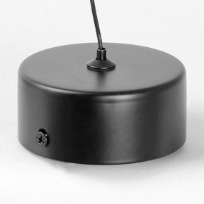 Подвесной светильник Lussole Blount LSP-7356 в Воткинске - votkinsk.ok-mebel.com | фото 6