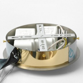 Подвесной светильник Lussole Citrus LSP-7158 в Воткинске - votkinsk.ok-mebel.com | фото 6