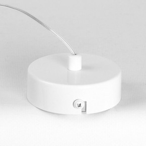 Подвесной светильник Lussole Gregg LSP-8963 в Воткинске - votkinsk.ok-mebel.com | фото 8
