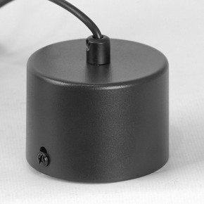 Подвесной светильник Lussole Milam LSP-7450 в Воткинске - votkinsk.ok-mebel.com | фото 7