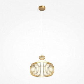 Подвесной светильник Maytoni Levitation MOD376PL-01G в Воткинске - votkinsk.ok-mebel.com | фото 2