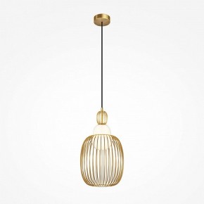 Подвесной светильник Maytoni Levitation MOD376PL-01G1 в Воткинске - votkinsk.ok-mebel.com | фото 2