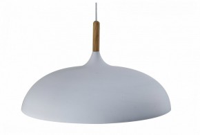 Подвесной светильник Moderli Hygo V11447-1P в Воткинске - votkinsk.ok-mebel.com | фото
