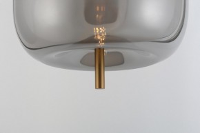 Подвесной светильник Rivoli Claire Б0061905 в Воткинске - votkinsk.ok-mebel.com | фото 11