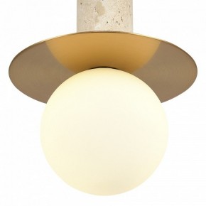 Подвесной светильник ST-Luce Earthy SL1194.303.01 в Воткинске - votkinsk.ok-mebel.com | фото 5