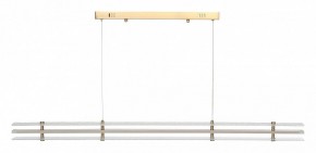 Подвесной светильник ST-Luce FAGY SL6245.223.01 в Воткинске - votkinsk.ok-mebel.com | фото 3