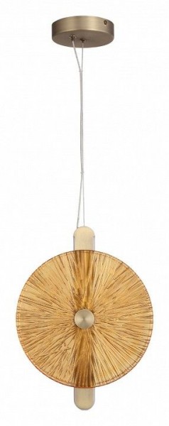 Подвесной светильник ST-Luce WASI SL6141.313.01 в Воткинске - votkinsk.ok-mebel.com | фото 3