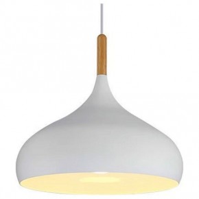 Подвесной светильник TopDecor Molto Molto S2 10 в Воткинске - votkinsk.ok-mebel.com | фото