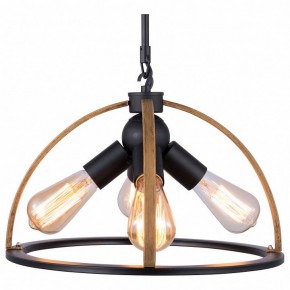 Подвесной светильник TopLight Jasmin TL1179H-04BK в Воткинске - votkinsk.ok-mebel.com | фото