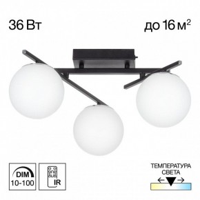 Потолочная люстра Citilux Dorsy CL223132 в Воткинске - votkinsk.ok-mebel.com | фото 10