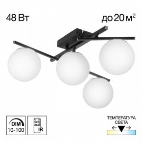 Потолочная люстра Citilux Dorsy CL223142 в Воткинске - votkinsk.ok-mebel.com | фото 9