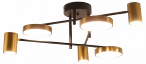 Потолочная люстра Kink Light Рапис 07645-6D,19(20) в Воткинске - votkinsk.ok-mebel.com | фото