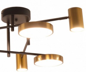 Потолочная люстра Kink Light Рапис 07645-6D,19(20) в Воткинске - votkinsk.ok-mebel.com | фото 2
