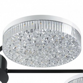 Потолочная люстра Lumion Didana 8236/7CL в Воткинске - votkinsk.ok-mebel.com | фото 9