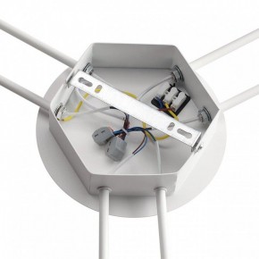 Потолочная люстра Lumion Gareta 8235/6C в Воткинске - votkinsk.ok-mebel.com | фото 6