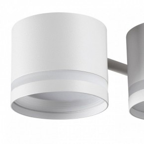 Потолочная люстра Lumion Gareta 8235/6C в Воткинске - votkinsk.ok-mebel.com | фото 7