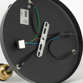 Потолочная люстра Lussole Mitchel LSP-8996 в Воткинске - votkinsk.ok-mebel.com | фото 5
