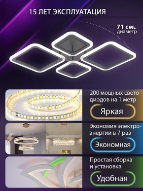 Потолочная люстра Natali Kovaltseva OPTI LED LAMPS 81108/2C в Воткинске - votkinsk.ok-mebel.com | фото 5