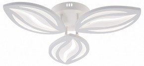 Потолочная люстра Natali Kovaltseva SM LED LAMPS 81456 в Воткинске - votkinsk.ok-mebel.com | фото