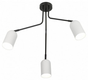 Потолочная люстра Rivoli Rosalinda Б0064987 в Воткинске - votkinsk.ok-mebel.com | фото 4