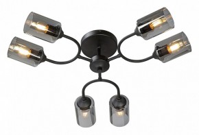 Потолочная люстра Vitaluce V2823 V2823-1/6PL в Воткинске - votkinsk.ok-mebel.com | фото 2