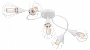 Потолочная люстра Vitaluce V3037 V3037-0/5PL в Воткинске - votkinsk.ok-mebel.com | фото