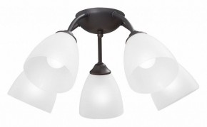 Потолочная люстра Vitaluce V3184 V3737-2/5PL в Воткинске - votkinsk.ok-mebel.com | фото