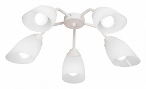 Потолочная люстра Vitaluce V31950 V31950/5PL в Воткинске - votkinsk.ok-mebel.com | фото