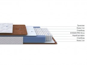 PROxSON Матрас Active F Roll (Ткань Трикотаж Эко) 80x200 в Воткинске - votkinsk.ok-mebel.com | фото 3
