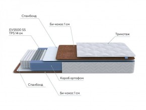 PROxSON Матрас Active F Roll (Ткань Трикотаж Эко) 120x200 в Воткинске - votkinsk.ok-mebel.com | фото 6