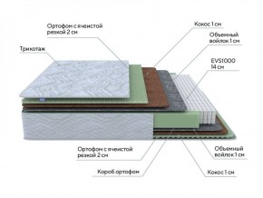 PROxSON Матрас Green M (Tricotage Dream) 120x190 в Воткинске - votkinsk.ok-mebel.com | фото 8