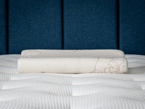PROxSON Подушка Кроха (Ткань Трикотаж) 39x24 в Воткинске - votkinsk.ok-mebel.com | фото 6