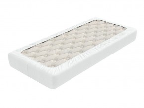 PROxSON Защитный чехол Aqua Save Light S (Ткань влагостойкая Tencel Jersey) 90x220 в Воткинске - votkinsk.ok-mebel.com | фото 2