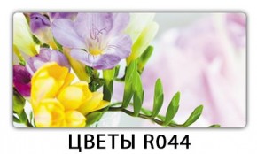 Раздвижной СТ Бриз орхидея R041 Кофе R012 в Воткинске - votkinsk.ok-mebel.com | фото 16