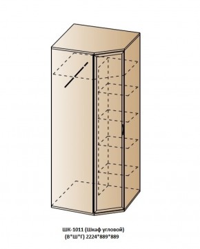 ШК-1011 (Шкаф угловой) в Воткинске - votkinsk.ok-mebel.com | фото