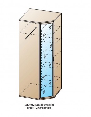 ШК-1012 (Шкаф угловой) в Воткинске - votkinsk.ok-mebel.com | фото