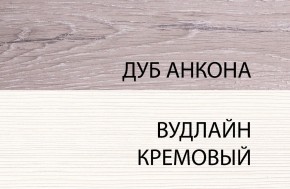 Шкаф 1DG, OLIVIA, цвет вудлайн крем/дуб анкона в Воткинске - votkinsk.ok-mebel.com | фото 3