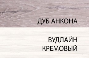 Шкаф 1DZ, OLIVIA, цвет вудлайн крем/дуб анкона в Воткинске - votkinsk.ok-mebel.com | фото 3