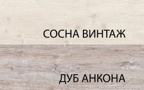 Шкаф 2D1S, MONAKO, цвет Сосна винтаж/дуб анкона в Воткинске - votkinsk.ok-mebel.com | фото 1