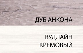 Шкаф 2DG, OLIVIA, цвет вудлайн крем/дуб анкона в Воткинске - votkinsk.ok-mebel.com | фото 3