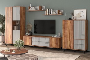 Шкаф комбинированный Онтарио 474.06 в Воткинске - votkinsk.ok-mebel.com | фото 5
