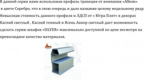 Шкаф-купе 1500 серии SILVER S1+S1+B2+PL2 (2 ящика+1 штанга+1 полка) профиль «Серебро» в Воткинске - votkinsk.ok-mebel.com | фото 4