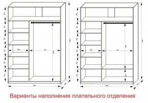 Шкаф-купе 1600 серии SOFT D1+D3+B2+PL1 (2 ящика+1штанга) профиль «Графит» в Воткинске - votkinsk.ok-mebel.com | фото 6