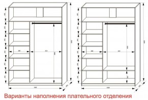 Шкаф-купе 1600 серии SOFT D6+D4+B2+PL2 (2 ящика+1штанга+1 полка) профиль «Капучино» в Воткинске - votkinsk.ok-mebel.com | фото 8