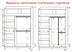 Шкаф-купе 1600 серии SOFT D6+D6+B2+PL3 (2 ящика+2штанги) профиль «Капучино» в Воткинске - votkinsk.ok-mebel.com | фото 7