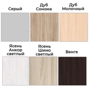 Шкаф-купе ХИТ 22-4-12/2-77 (420) в Воткинске - votkinsk.ok-mebel.com | фото 3