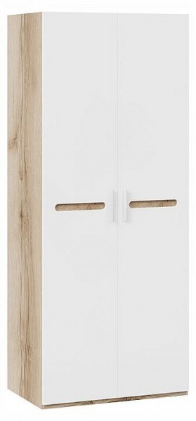 Шкаф платяной Фьюжн ТД-260.07.02 в Воткинске - votkinsk.ok-mebel.com | фото